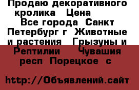 Продаю декоративного кролика › Цена ­ 500 - Все города, Санкт-Петербург г. Животные и растения » Грызуны и Рептилии   . Чувашия респ.,Порецкое. с.